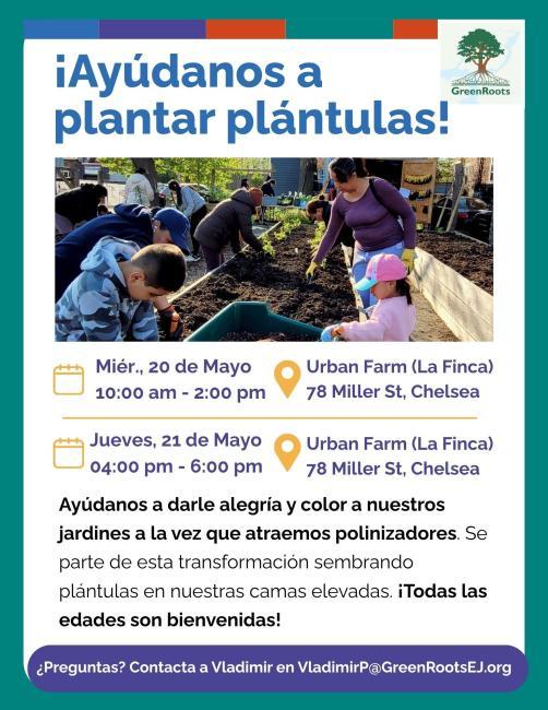 volante con información sobre el evento para sembrar plantas