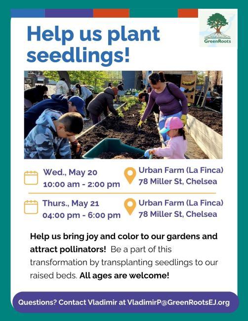 flyer with information for the seedling planting events